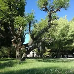 Napoli Panzió
