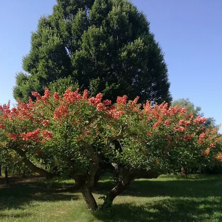 B&B Villa Napoli Bed & Breakfast Battipaglia