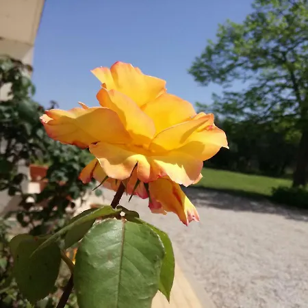 B&B Villa Napoli Bed & Breakfast *