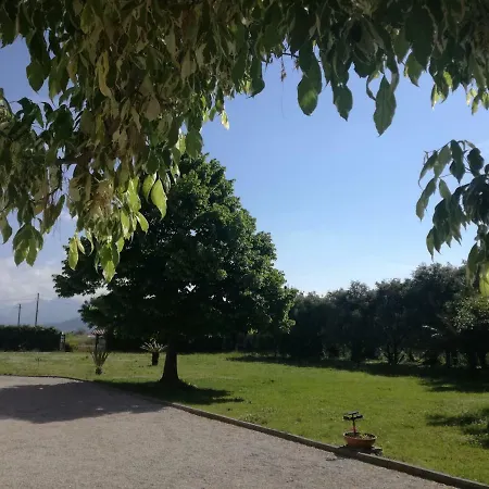 B&B Villa Napoli Bed & Breakfast *
