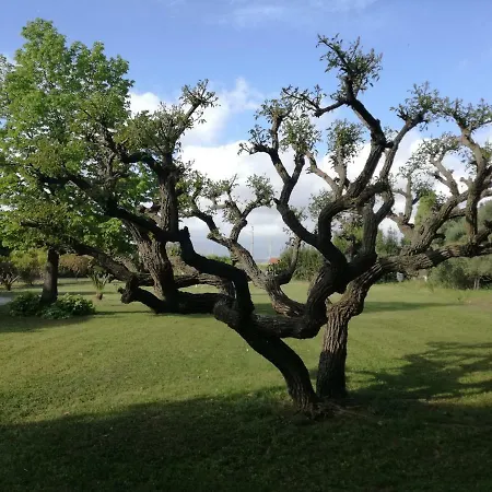 B&B Villa Napoli *