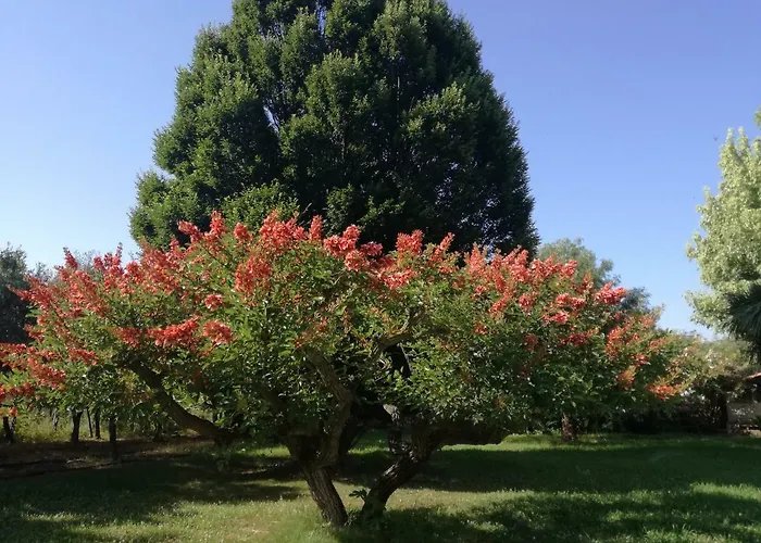 B&B Villa Napoli Bed & Breakfast Battipaglia