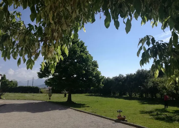 Napoli Bed & Breakfast 4*